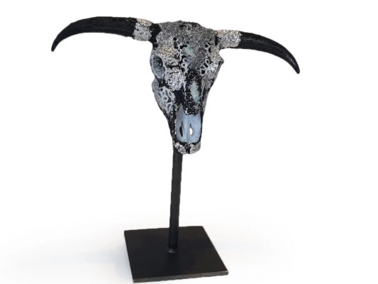 Silver-Head